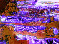 art colors GIF by MFD