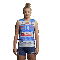 Volleyball Timeout Sticker by ImocoVolley