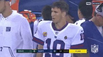 New York Giants Football GIF by NFL