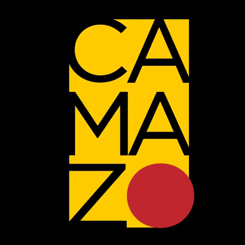 Logo Agencia GIF by Camazo