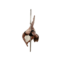 swing360 swing360 melusinepole Sticker