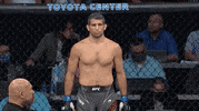 Sport Mma GIF by UFC
