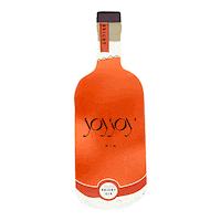 Drink Bottle Sticker by JoyJoyBrasil