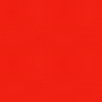 Chinese New Year Dragon GIF by Furrend