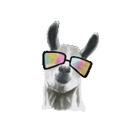 Happy Party Sticker