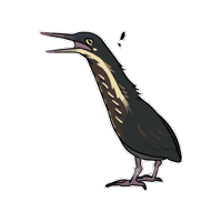 Firuo_drawingbirds bittern 鷺 botaurus flavicollis 黃頸黑鷺 Sticker