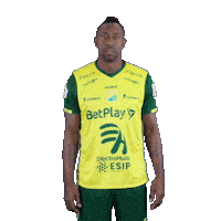 Futbol Colombia Sticker by INDEPENDIENTE DEL VALLE