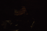 Set Fire Burn GIF by CanFilmDay