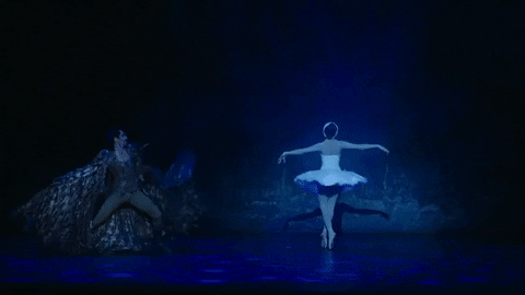 Swanlake GIF by English National Ballet