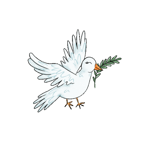matiastudio bird peace spring fly Sticker