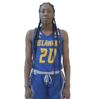 Womens Basketball No Sticker by Delaware Blue Hens