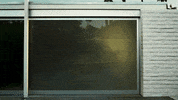 car GIF by Audi