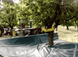 Way Pick GIF