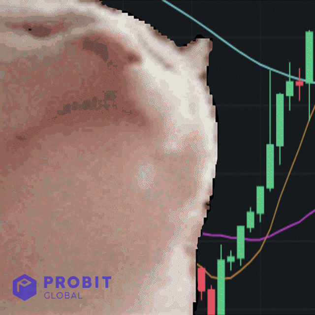 Cat Moon GIF by ProBit Global