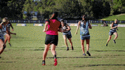 Ntl GIF by Touch Football Australia
