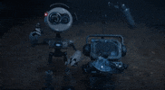 Fun Friends GIF by Adim
