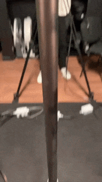 centraltalent centraltalent GIF