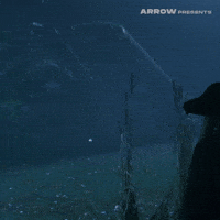 Trick Or Treat Film GIF by Arrow Video