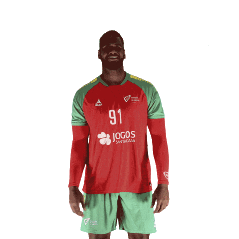 Ehfeuro Sticker by Federação de Andebol de Portugal