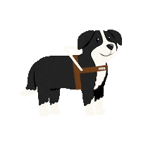 Work Dogs Sticker by FondationMira
