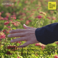 Wedding Kiss GIF by 60 Second Docs