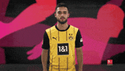 Leaving Borussia Dortmund GIF by Bundesliga