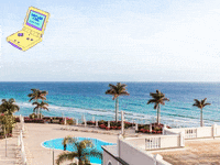 Das Futterhaus Startet Charity Aktion Tierisch Guter Einsatz GIF by FranchiseONE.de