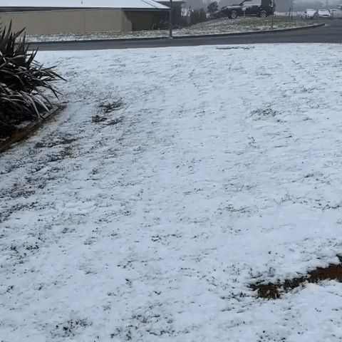 Late September Snow Brings Wintry Chill in Springtime to Orange, New South Wales