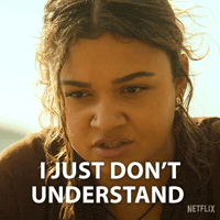 I Dont Understand Bounty Hunter GIF by NETFLIX