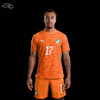 Fifa World Cup Elephants GIF by Respective