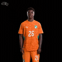 Fifa World Cup Elephants GIF by Respective