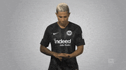 football soccer GIF by Bundesliga