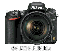 Nikoninstabadge D750 Sticker by NikonIndia