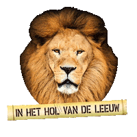 freek vonk Sticker by Agents After All