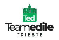 teamedile italia milano ted soa Sticker