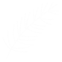Pine Tree Forest Sticker by magicforestory