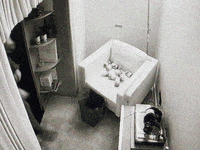 SofiaInternationalFilmFestival club horse bar unicorn GIF