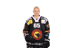 Untersander Sticker by SC Bern