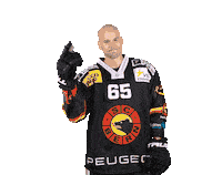 Untersander Sticker by SC Bern