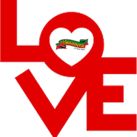 Salsa Picante Love Sticker by Mega Alimentos