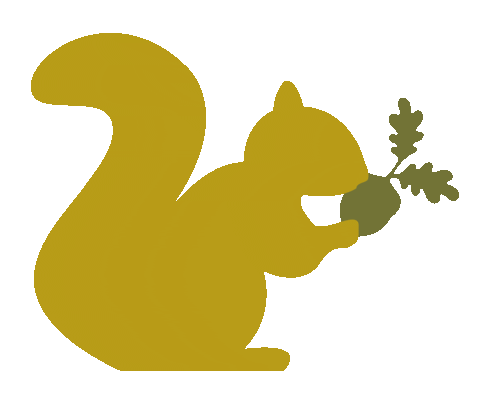 Fall Squirrel Sticker by Hickory Farms