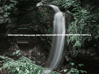 Enjoy Lol GIF by FranchiseONE.de