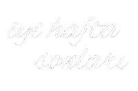 Temizlik Sticker