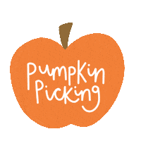 Family Time Halloween Sticker by Charley