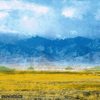 Art Loop GIF by Psyklon