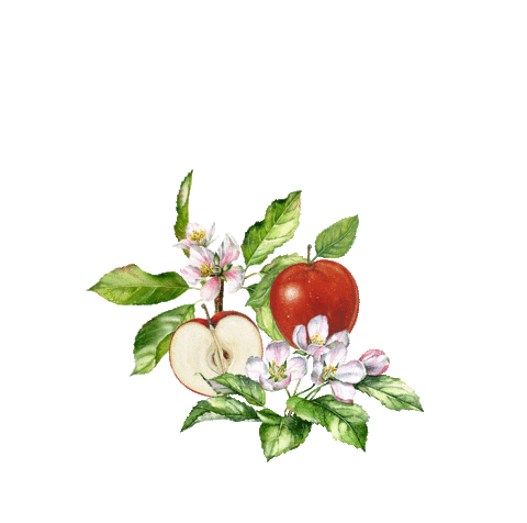 Absolut Juice Sticker by Absolut Vodka