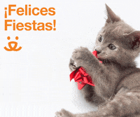 Save Them All Merry Christmas GIF by Best Friends Animal Society