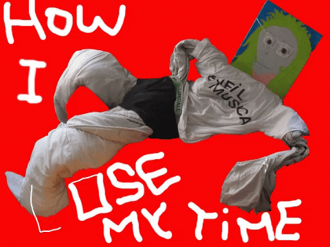 Liminal-tech-house giphygifmaker time lazy robin GIF