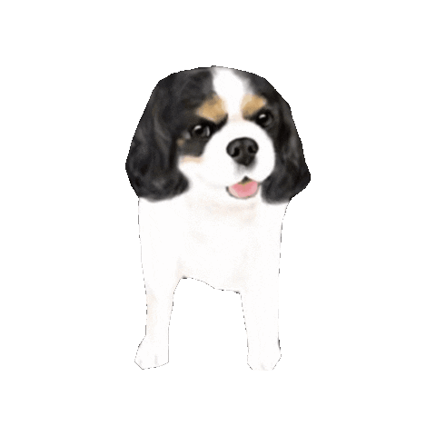 Dog Sticker