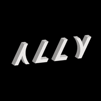 allysingapore spin ally allysingapore teamally GIF